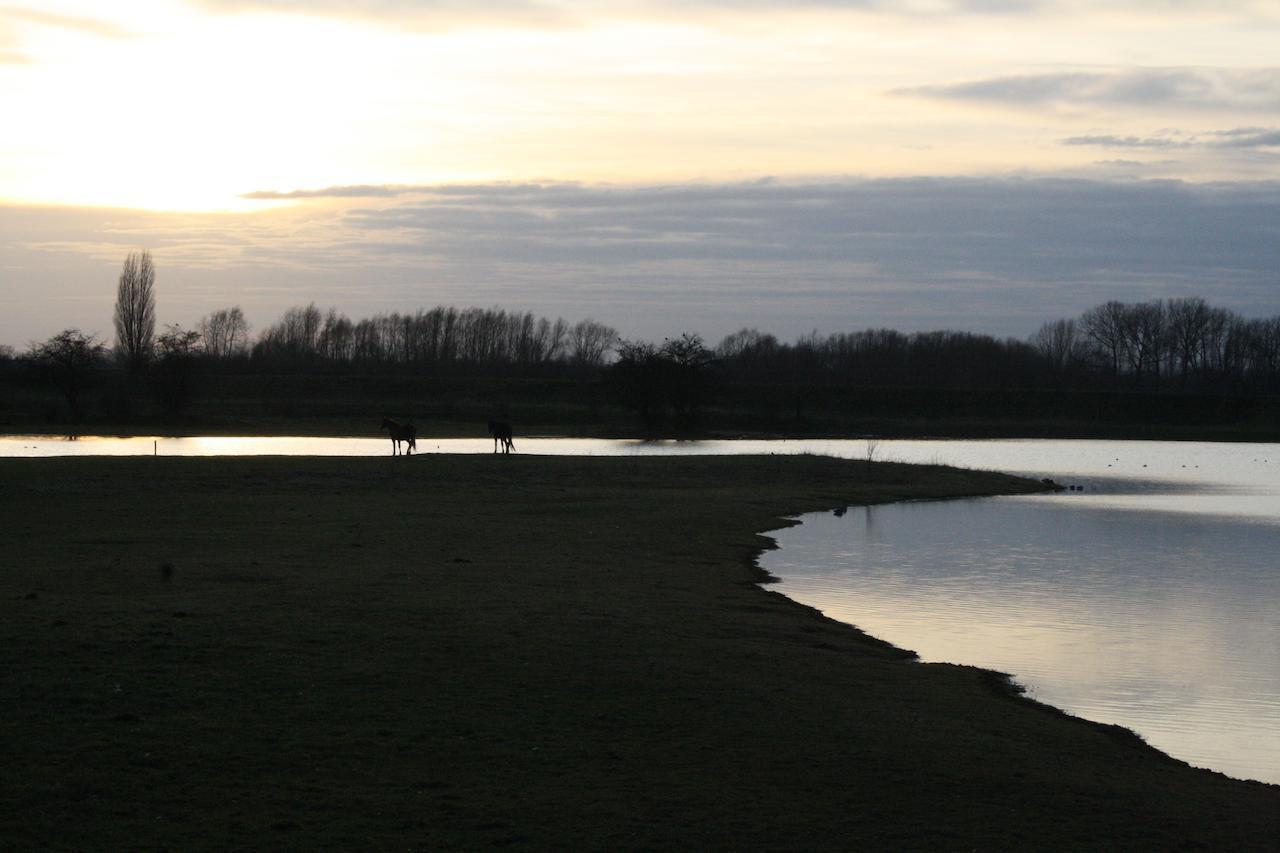 De Betuwe Hotel Asch Buitenkant foto